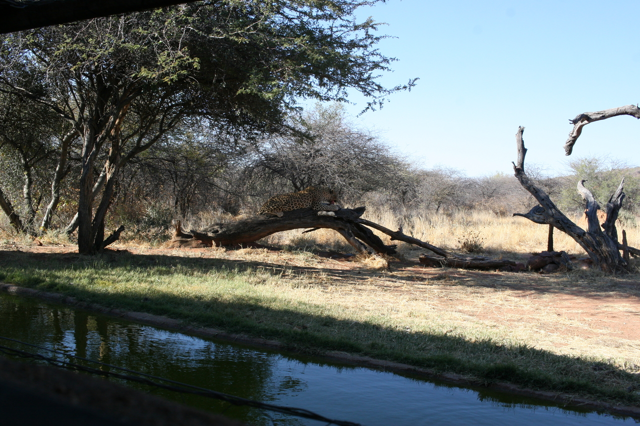 [6007] 2016_06_23_10_29_51_Africa_Canon_EOS_30D_IMG_1835_00279.jpg