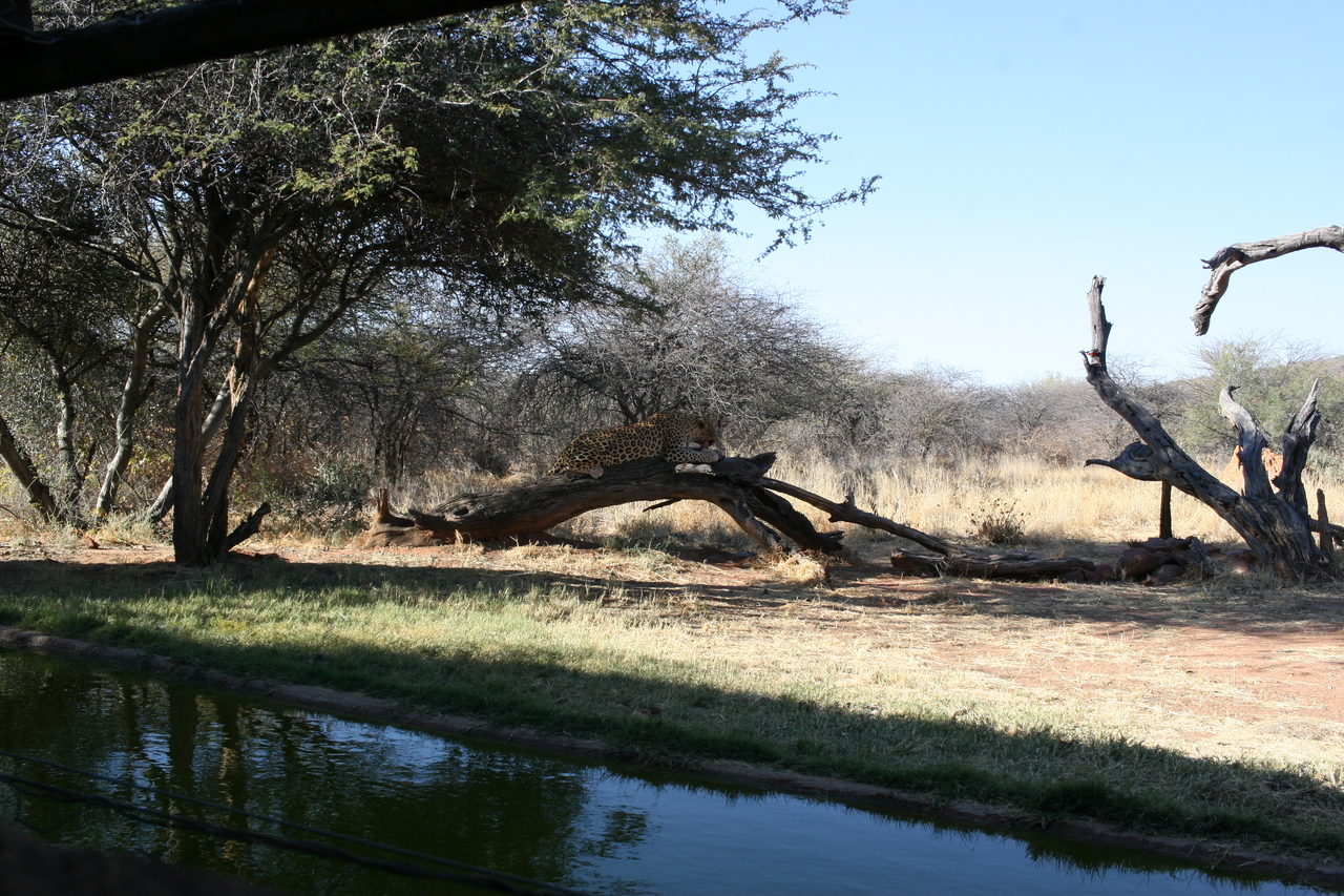 [6008] 2016_06_23_10_30_00_Africa_Canon_EOS_30D_IMG_1836_00101.jpg