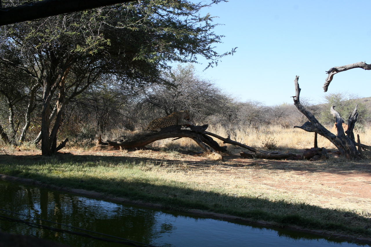 [6011] 2016_06_23_10_30_03_Africa_Canon_EOS_30D_IMG_1837_00281.jpg