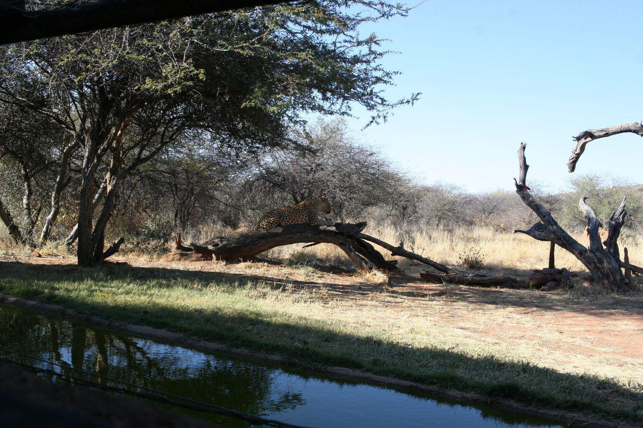 [6042] 2016_06_23_10_30_46_Africa_Canon_EOS_30D_IMG_1841_00285.jpg