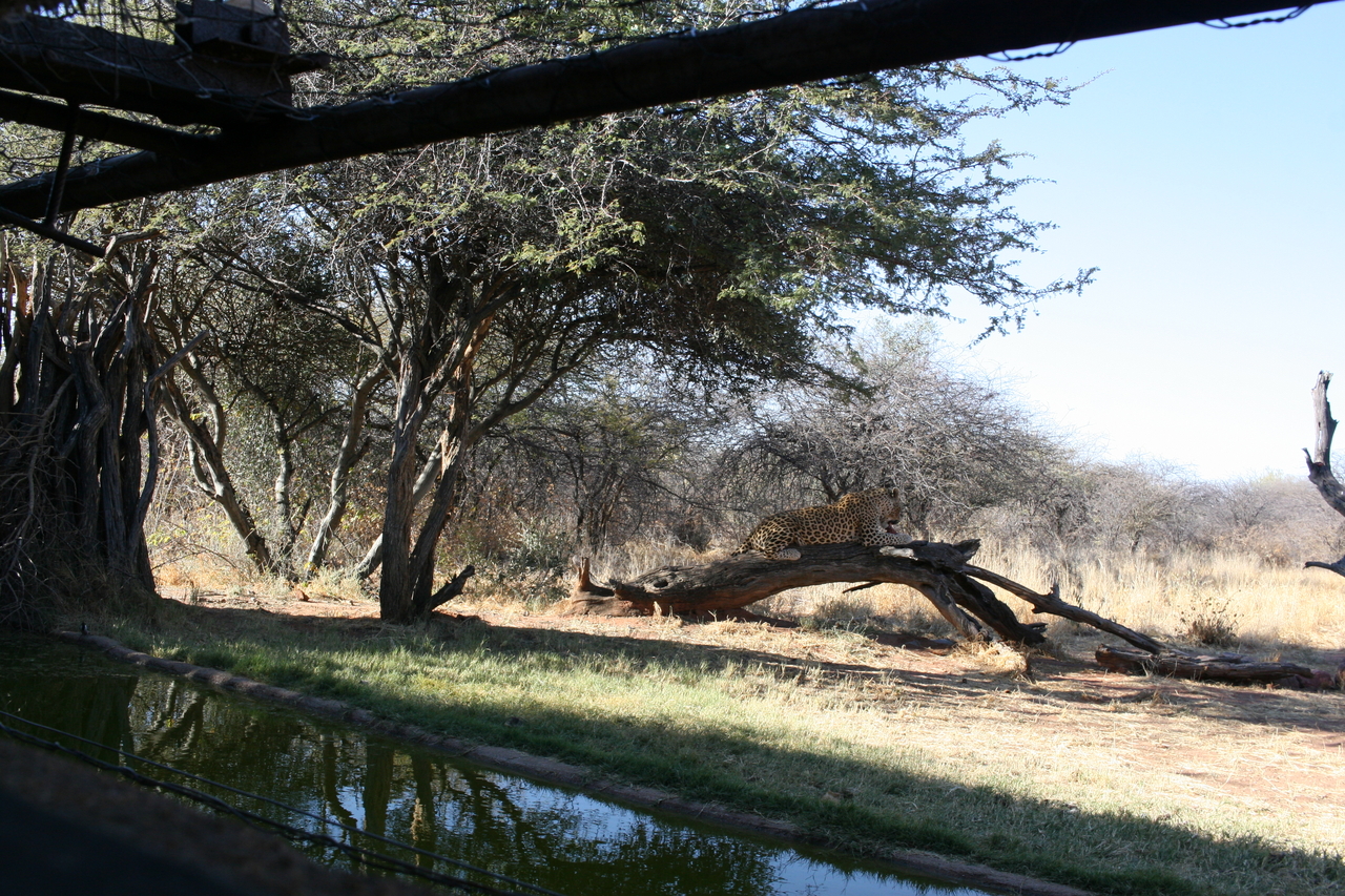 [6048] 2016_06_23_10_31_23_Africa_Canon_EOS_30D_IMG_1843_00108.jpg