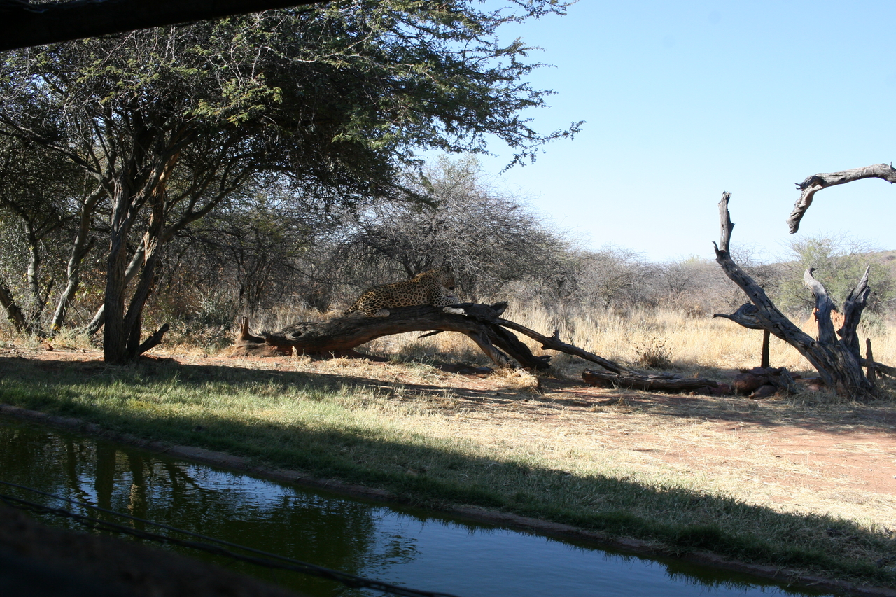 [6066] 2016_06_23_10_32_06_Africa_Canon_EOS_30D_IMG_1846_00111.jpg