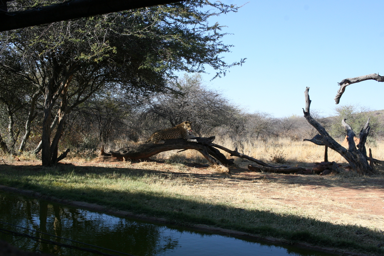 [6093] 2016_06_23_10_32_38_Africa_Canon_EOS_30D_IMG_1847_00291.jpg