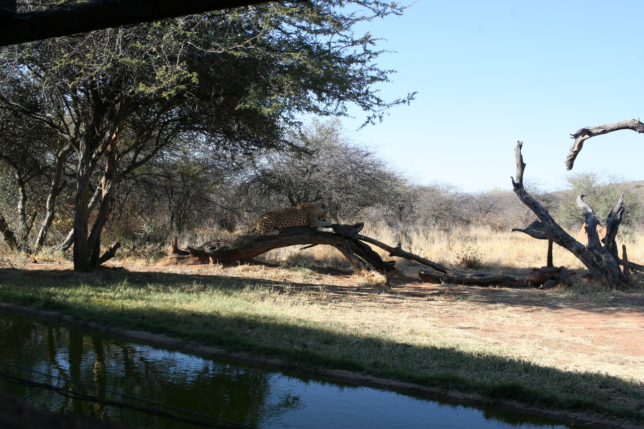 [6096] 2016_06_23_10_32_54_Africa_Canon_EOS_30D_IMG_1849_00114.jpg