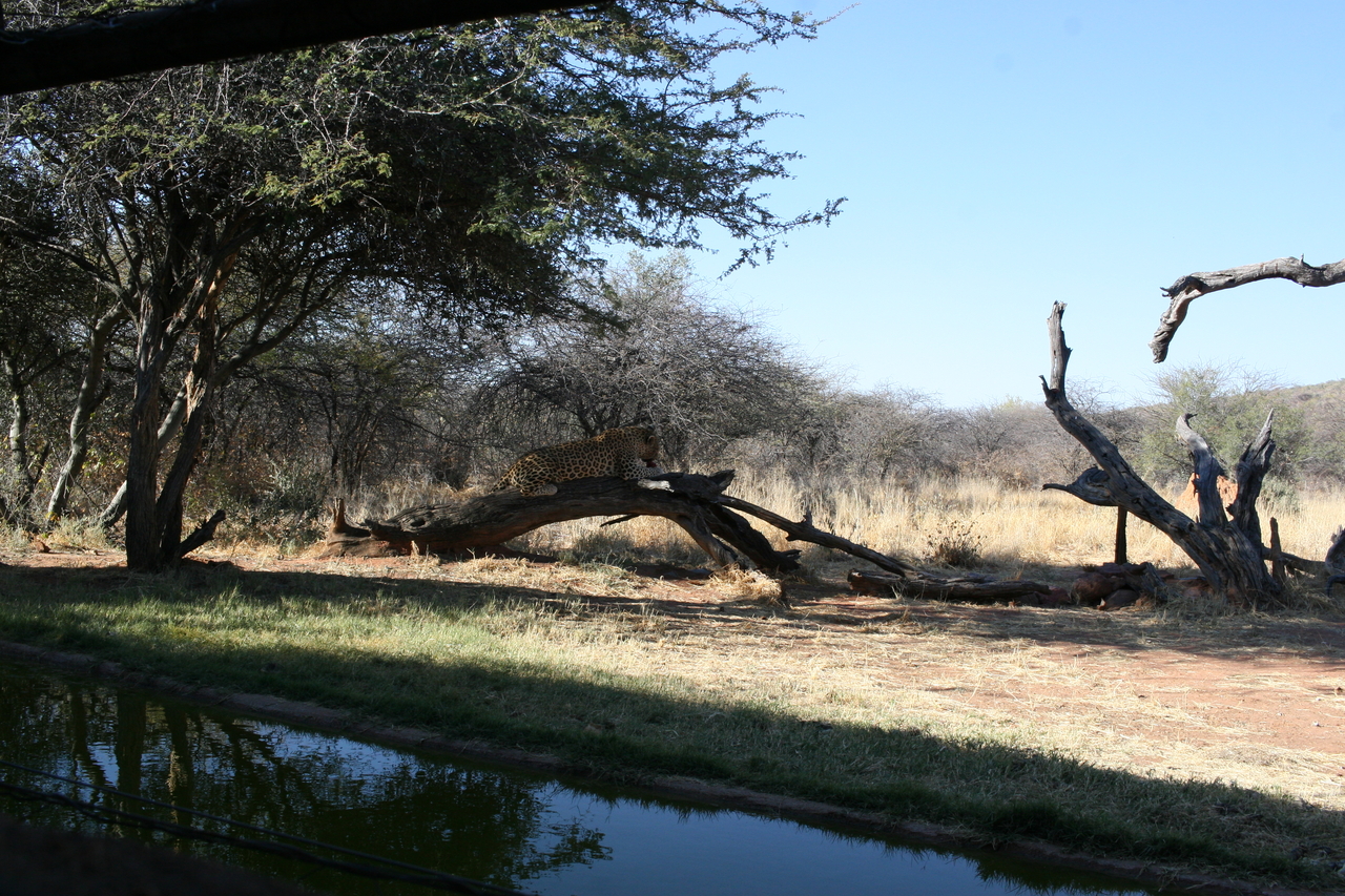 [6101] 2016_06_23_10_33_25_Africa_Canon_EOS_30D_IMG_1851_00295.jpg