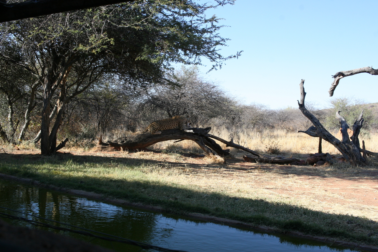 [6102] 2016_06_23_10_34_00_Africa_Canon_EOS_30D_IMG_1852_00117.jpg