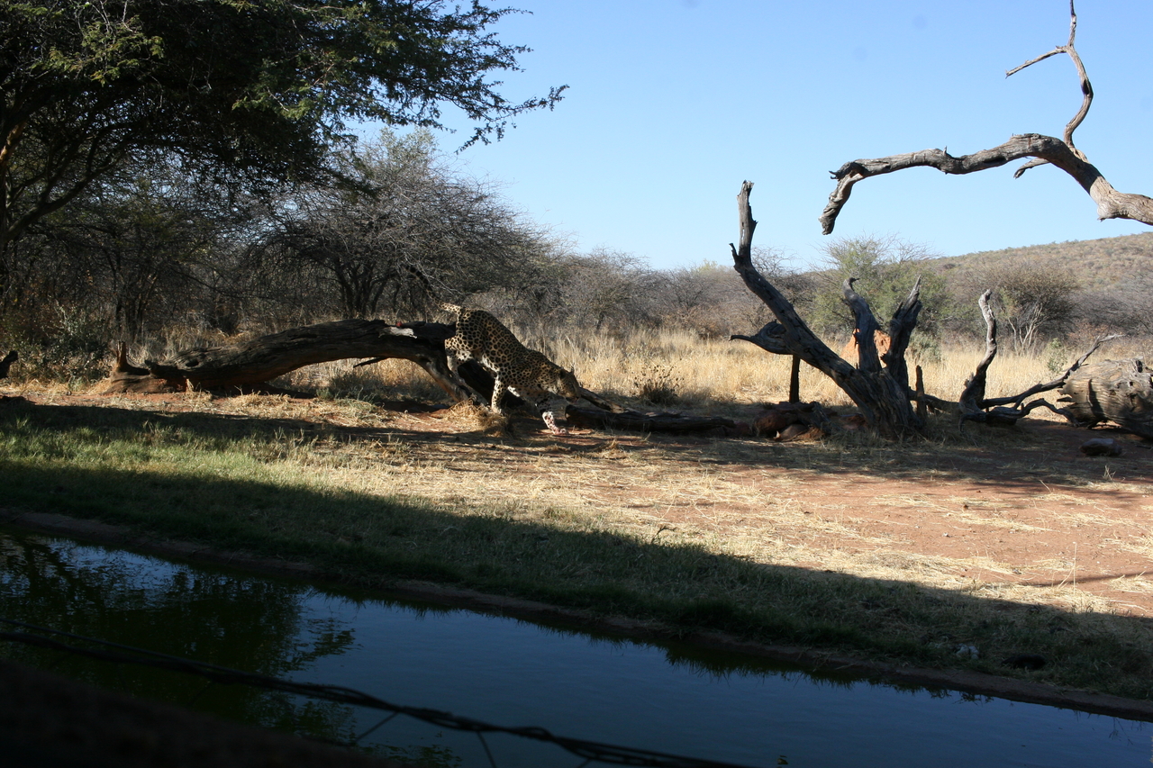 [6120] 2016_06_23_10_38_01_Africa_Canon_EOS_30D_IMG_1861_00126.jpg