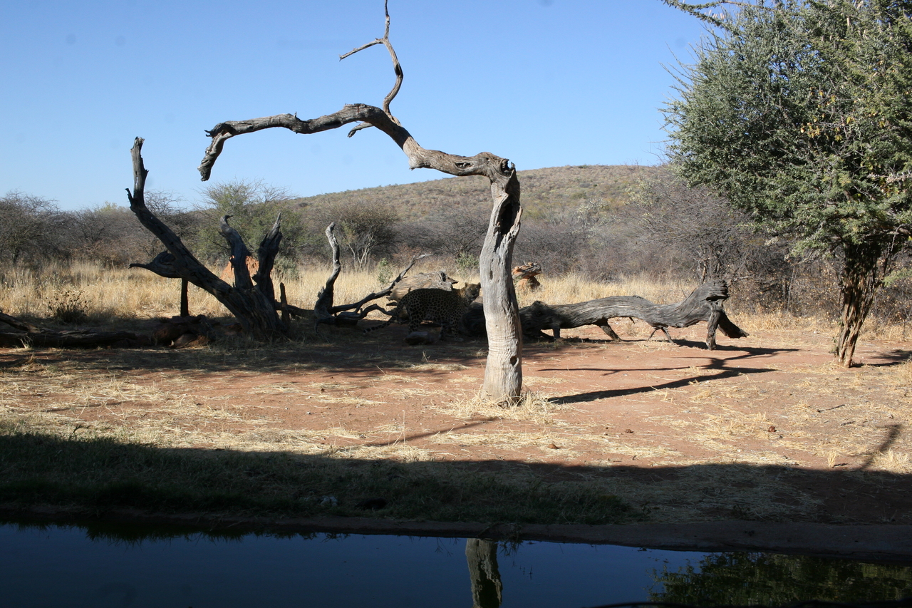 [6128] 2016_06_23_10_38_16_Africa_Canon_EOS_30D_IMG_1865_00130.jpg