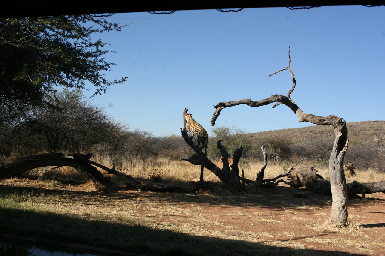 [6136] 2016_06_23_10_38_34_Africa_Canon_EOS_30D_IMG_1869_00134.jpg