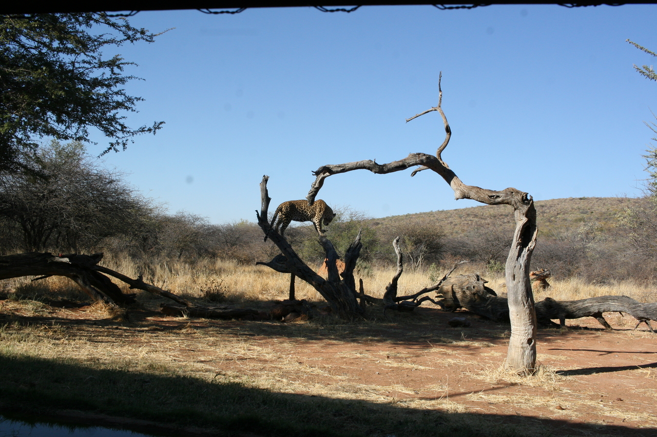 [6141] 2016_06_23_10_38_41_Africa_Canon_EOS_30D_IMG_1871_00315.jpg