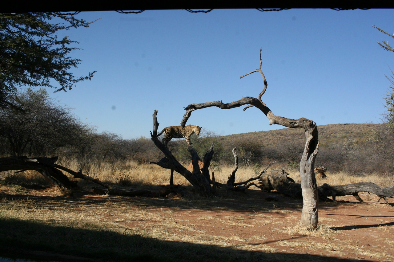 [6144] 2016_06_23_10_38_48_Africa_Canon_EOS_30D_IMG_1873_00138.jpg