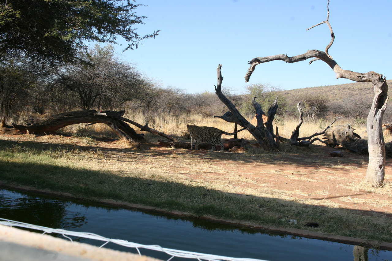 [6152] 2016_06_23_10_39_09_Africa_Canon_EOS_30D_IMG_1877_00142.jpg