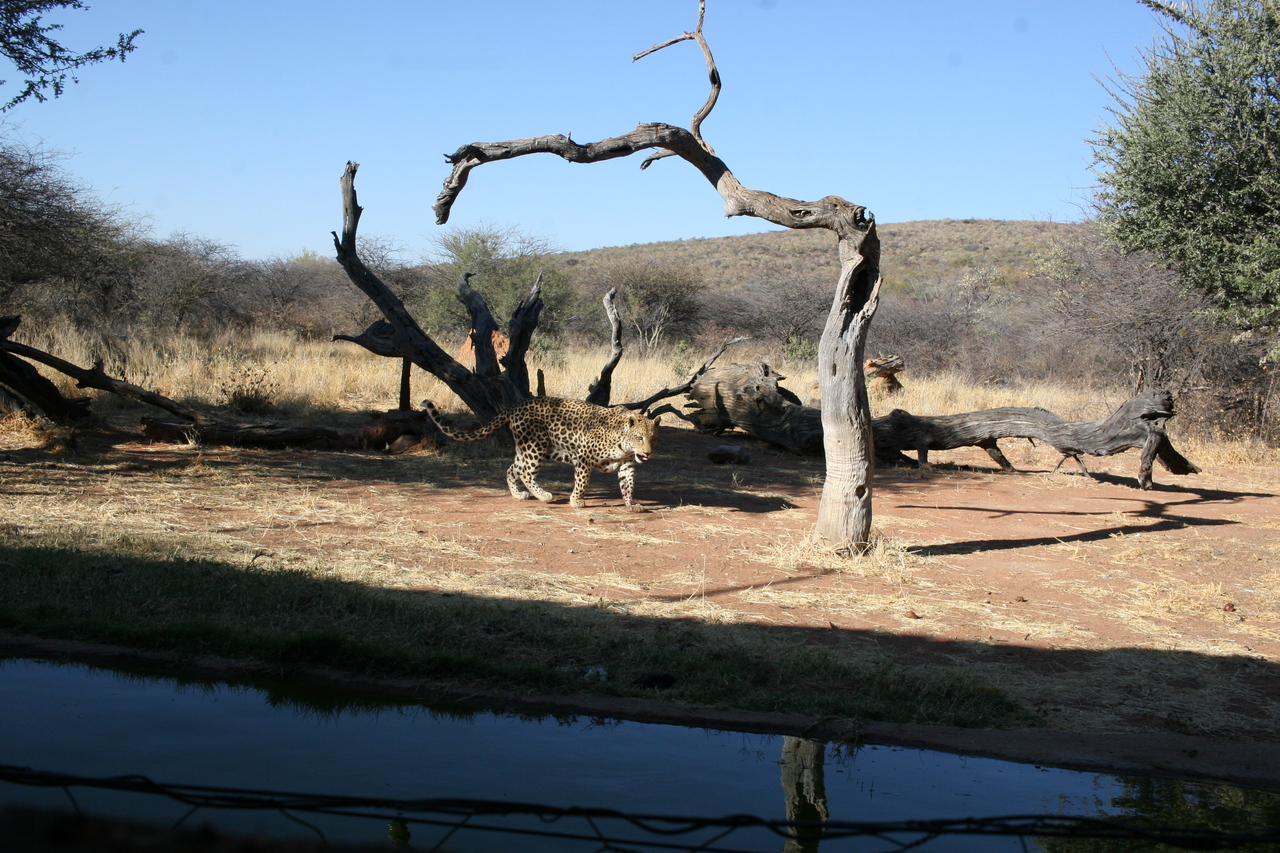 [6157] 2016_06_23_10_39_22_Africa_Canon_EOS_30D_IMG_1879_00323.jpg