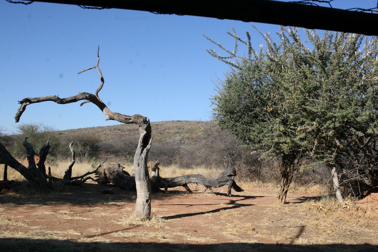 [6172] 2016_06_23_10_40_03_Africa_Canon_EOS_30D_IMG_1887_00152.jpg