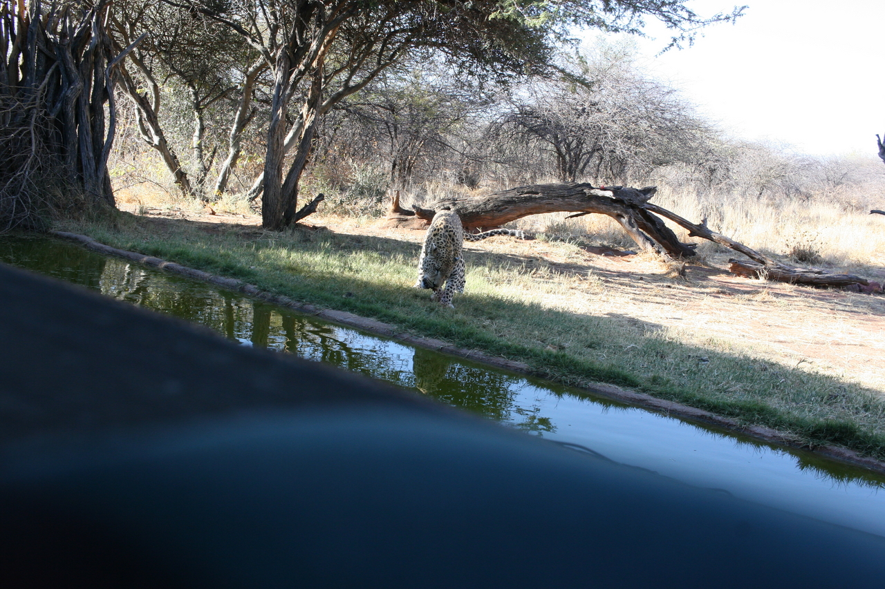 [6181] 2016_06_23_10_40_23_Africa_Canon_EOS_30D_IMG_1891_00335.jpg