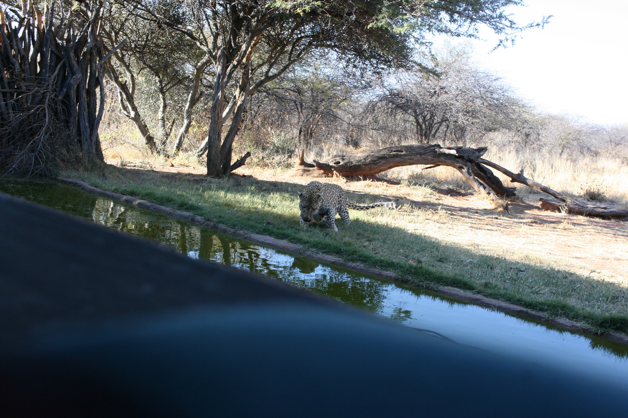 [6183] 2016_06_23_10_40_25_Africa_Canon_EOS_30D_IMG_1892_00336.jpg