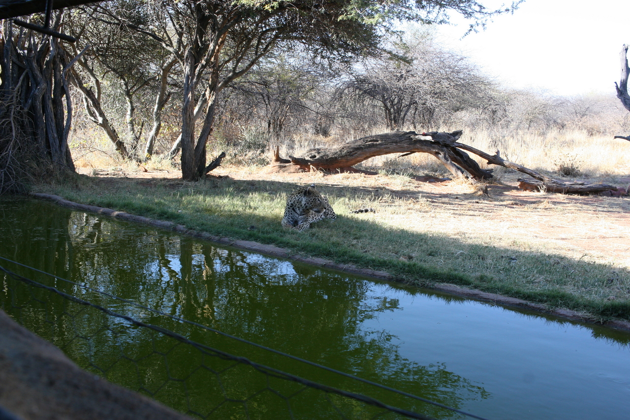 [6188] 2016_06_23_10_40_42_Africa_Canon_EOS_30D_IMG_1895_00160.jpg