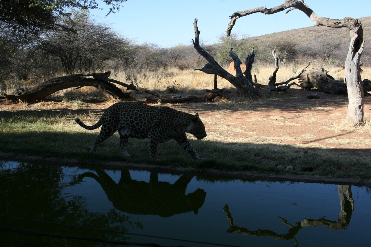 [6192] 2016_06_23_10_41_05_Africa_Canon_EOS_30D_IMG_1897_00162.jpg