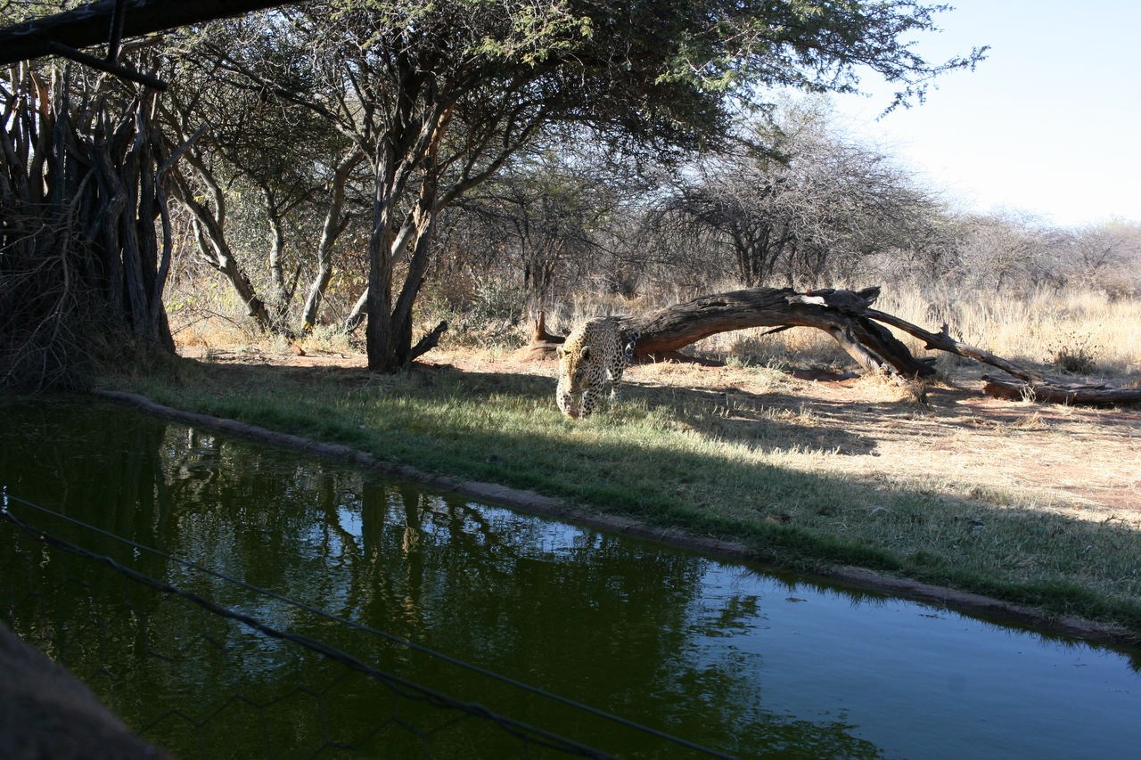 [6207] 2016_06_23_10_42_53_Africa_Canon_EOS_30D_IMG_1904_00348.jpg