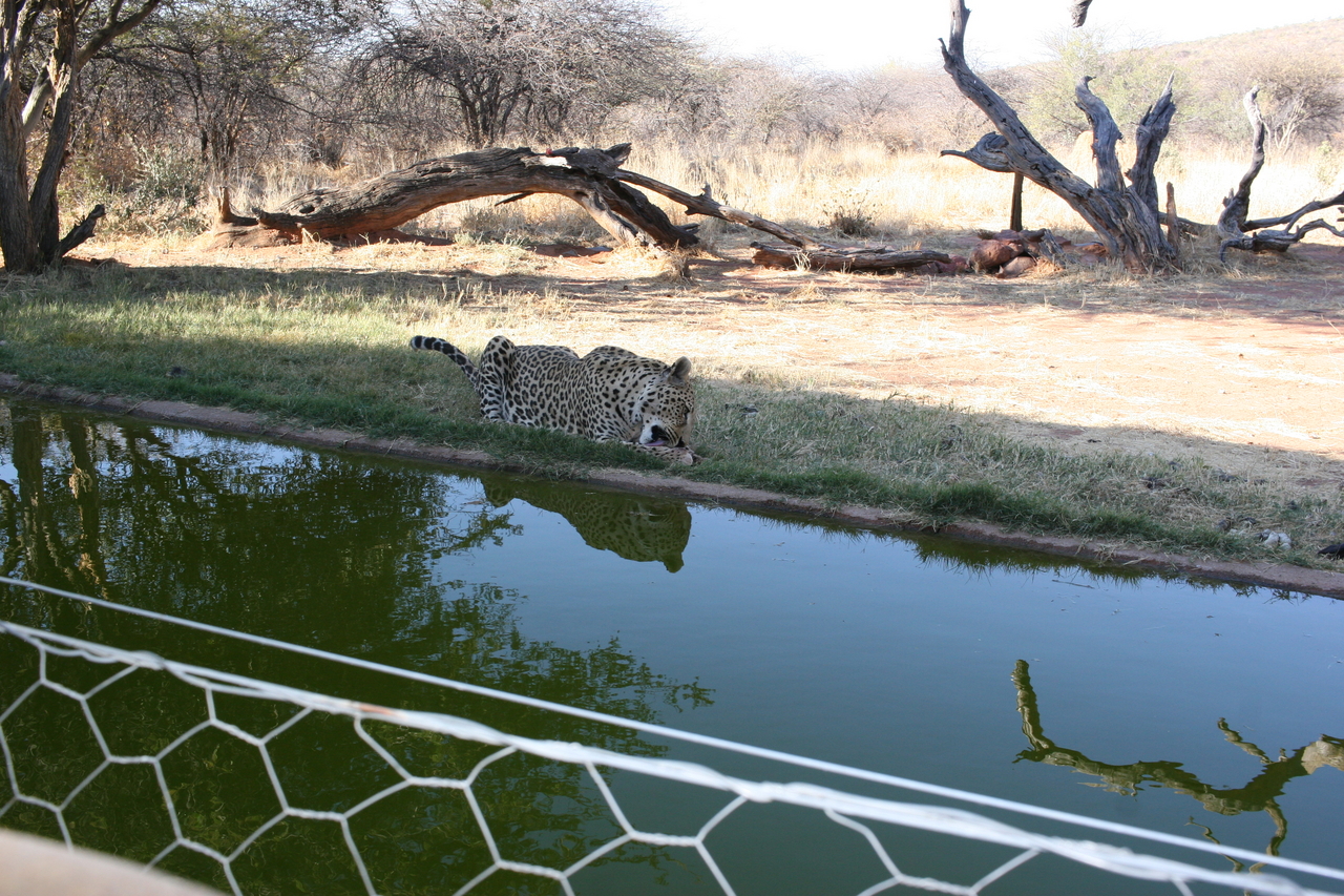 [6219] 2016_06_23_10_43_21_Africa_Canon_EOS_30D_IMG_1910_00354.jpg