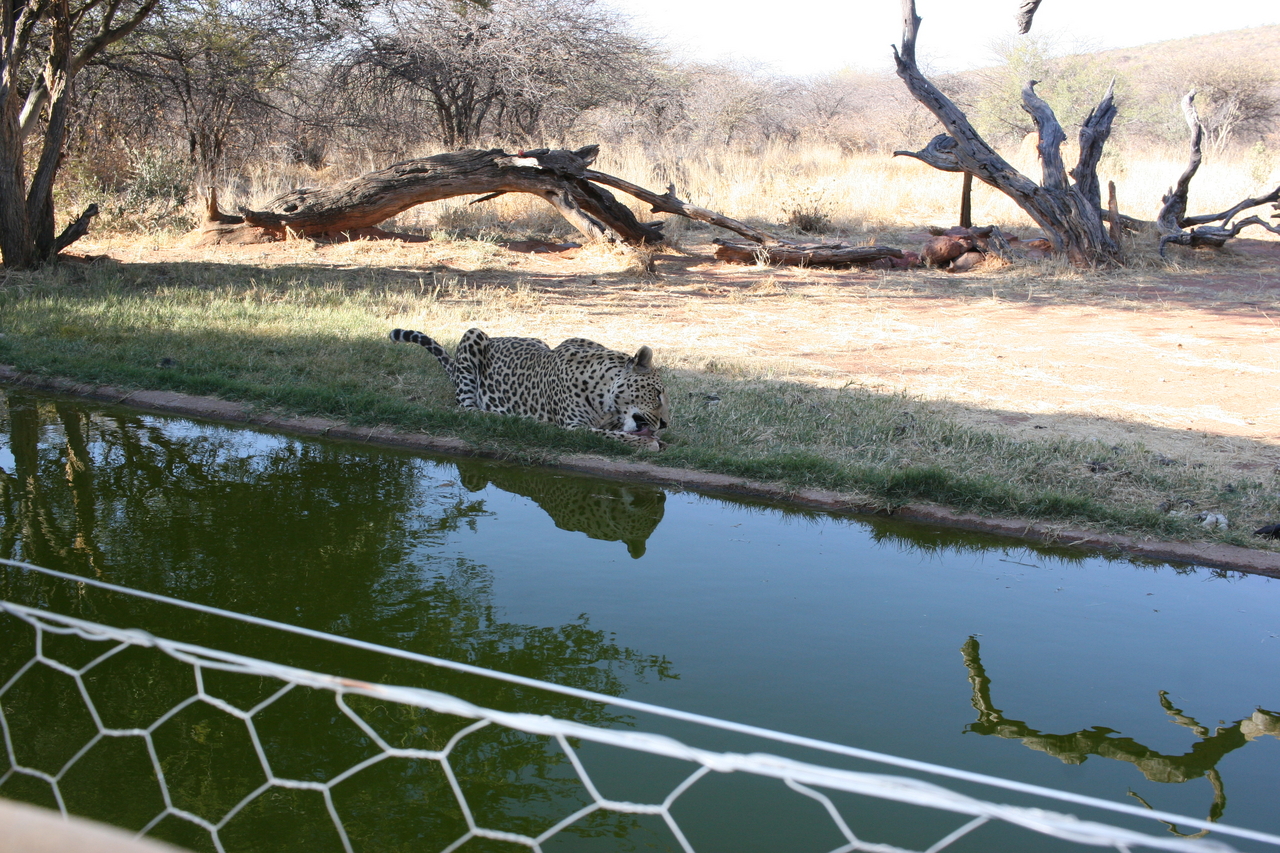 [6220] 2016_06_23_10_43_23_Africa_Canon_EOS_30D_IMG_1911_00176.jpg