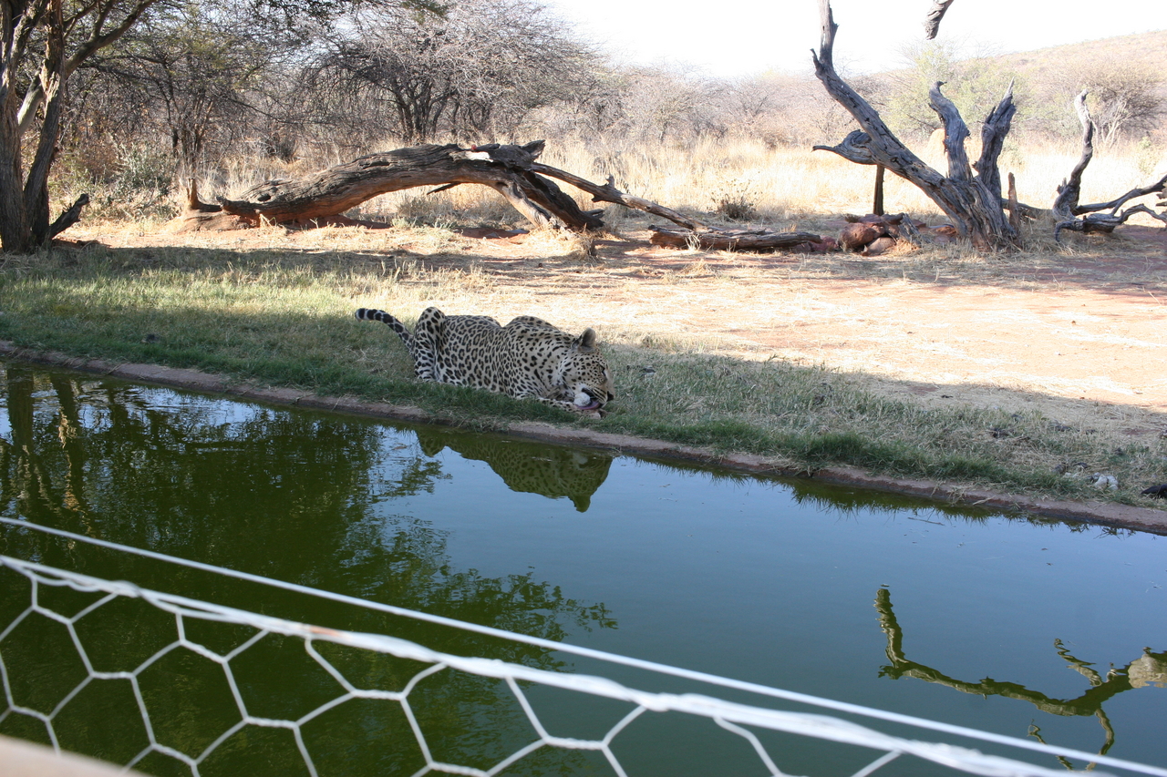 [6223] 2016_06_23_10_43_24_Africa_Canon_EOS_30D_IMG_1912_00356.jpg