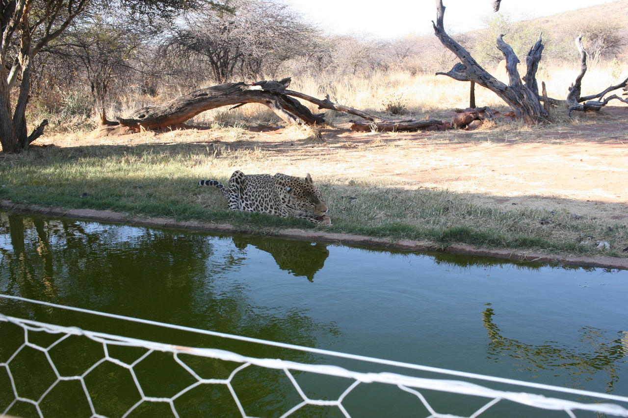 [6242] 2016_06_23_10_43_59_Africa_Canon_EOS_30D_IMG_1914_00358.jpg