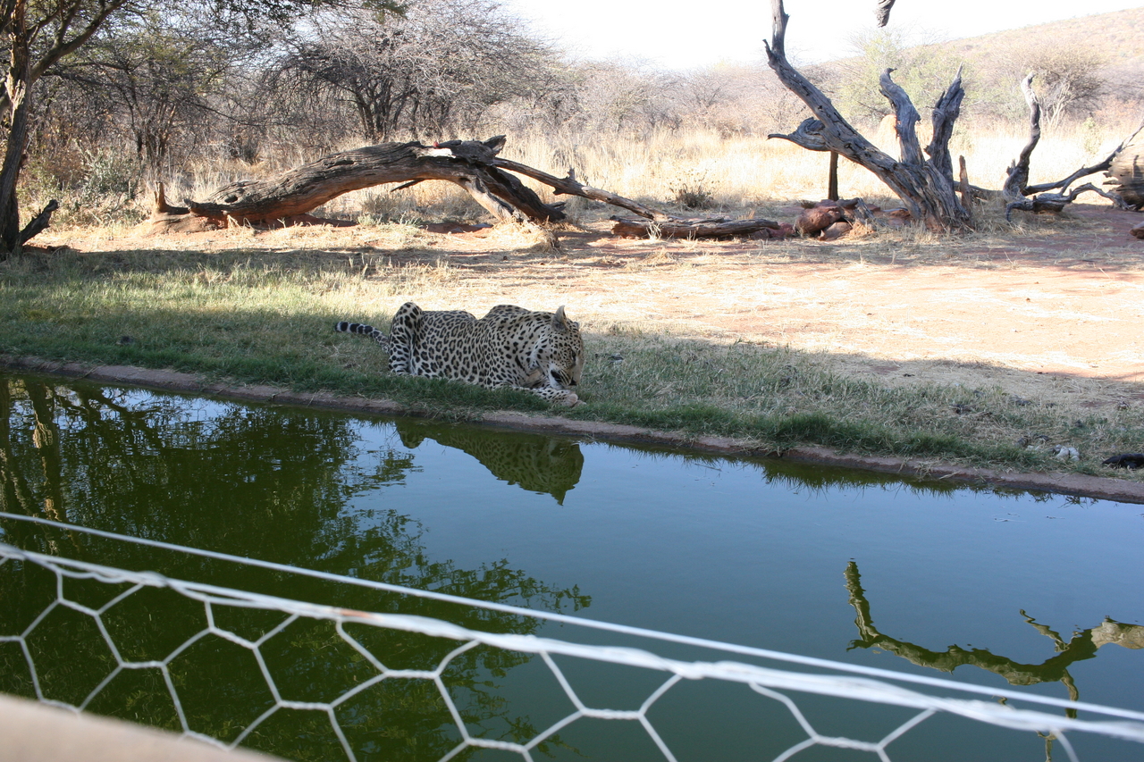 [6275] 2016_06_23_10_44_33_Africa_Canon_EOS_30D_IMG_1917_00361.jpg