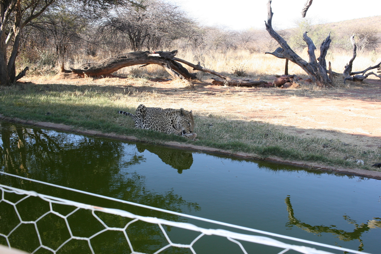 [6293] 2016_06_23_10_45_07_Africa_Canon_EOS_30D_IMG_1922_00187.jpg