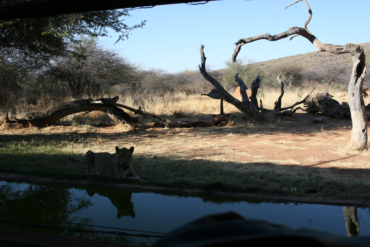 [6295] 2016_06_23_10_45_13_Africa_Canon_EOS_30D_IMG_1923_00188.jpg