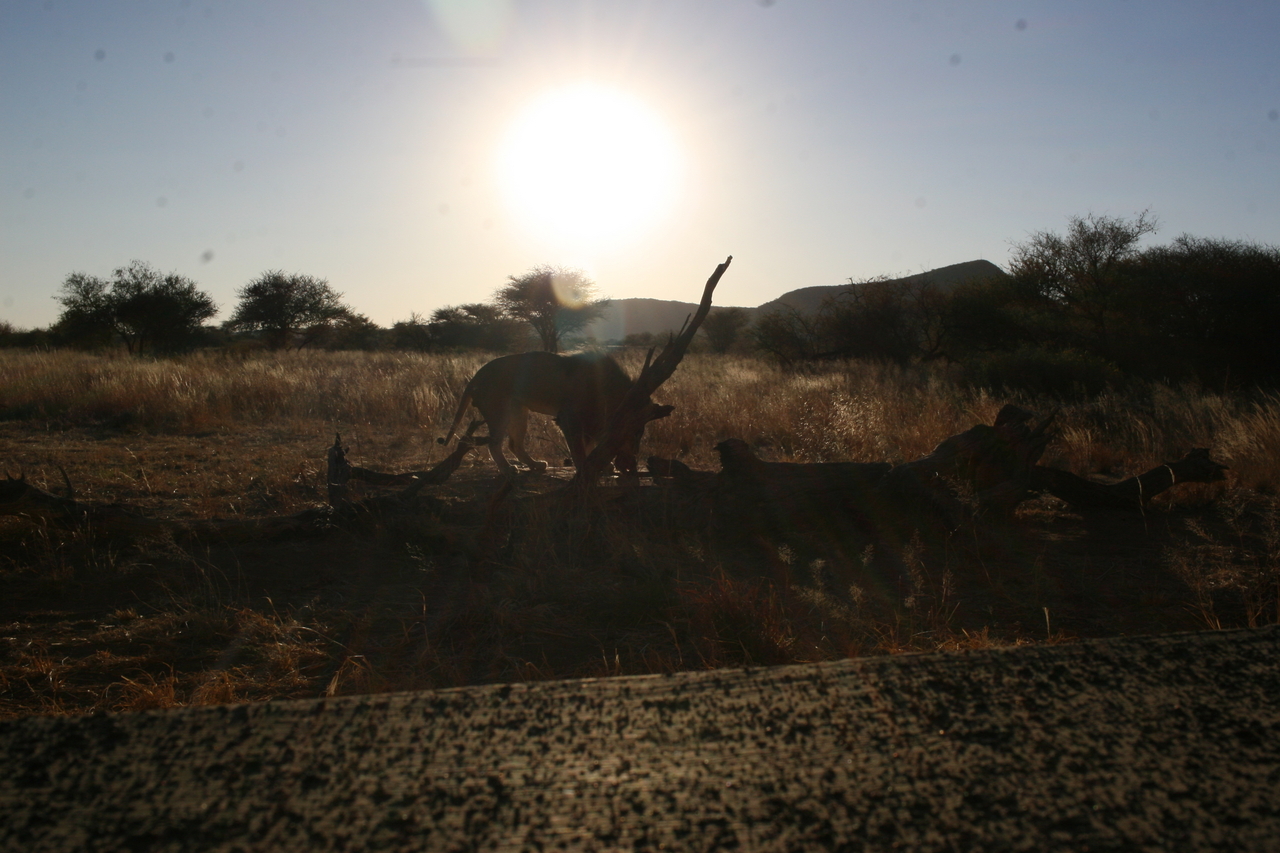 [8260] 2016_06_23_11_52_33_Africa_Canon_EOS_30D_IMG_1926_00191.jpg