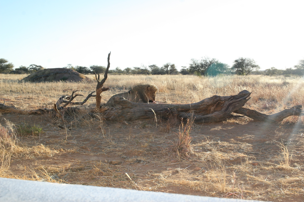 [8373] 2016_06_23_11_54_00_Africa_Canon_EOS_30D_IMG_1930_00195.jpg