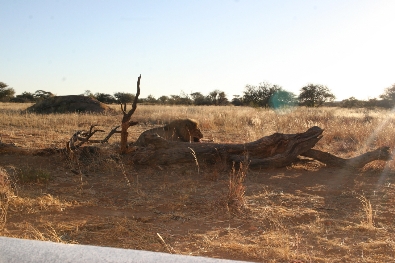 [8488] 2016_06_23_11_54_32_Africa_Canon_EOS_30D_IMG_1932_00197.jpg