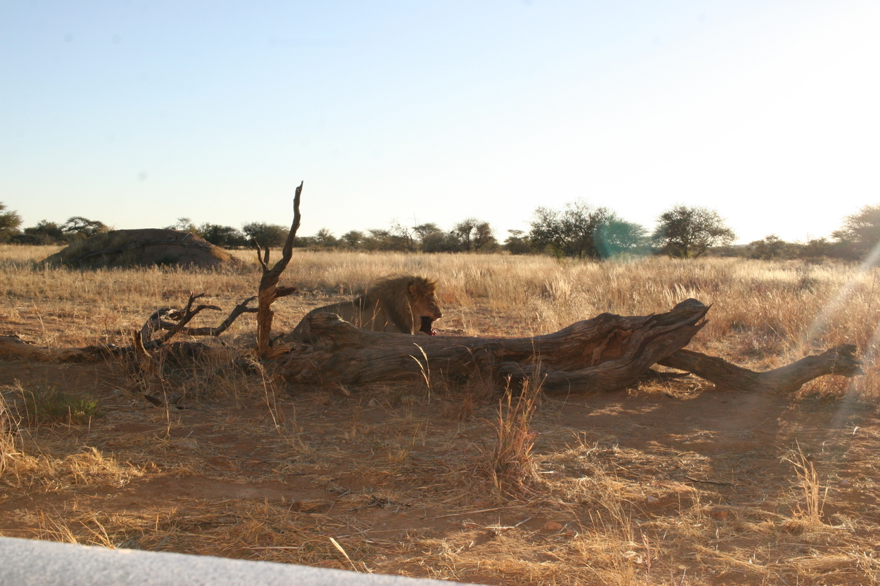 [8559] 2016_06_23_11_54_47_Africa_Canon_EOS_30D_IMG_1933_00198.jpg