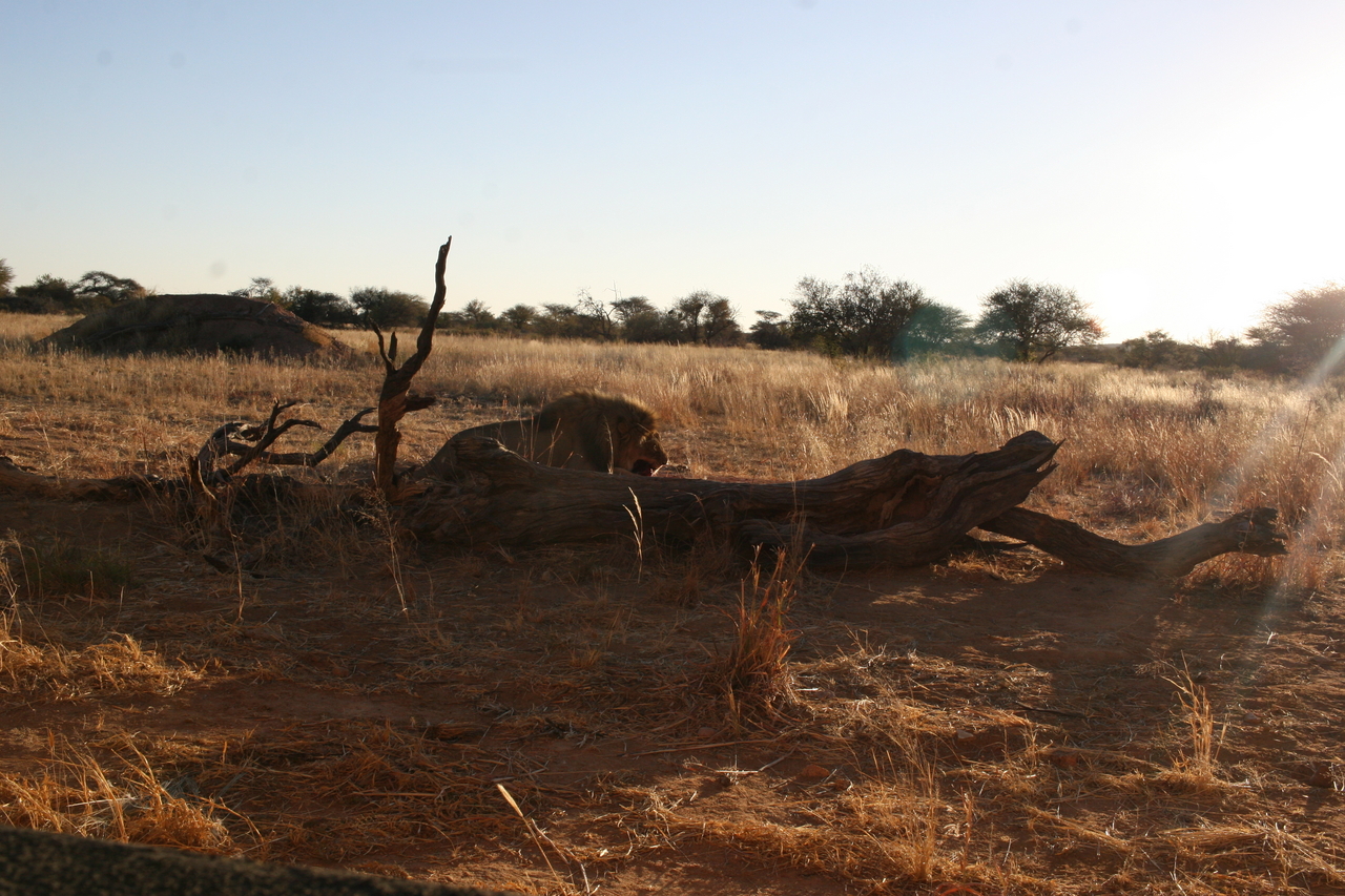 [8656] 2016_06_23_11_55_18_Africa_Canon_EOS_30D_IMG_1935_00200.jpg