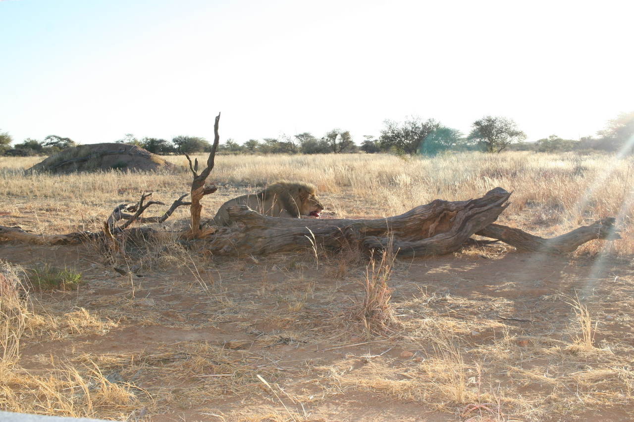 [8691] 2016_06_23_11_56_26_Africa_Canon_EOS_30D_IMG_1939_00383.jpg