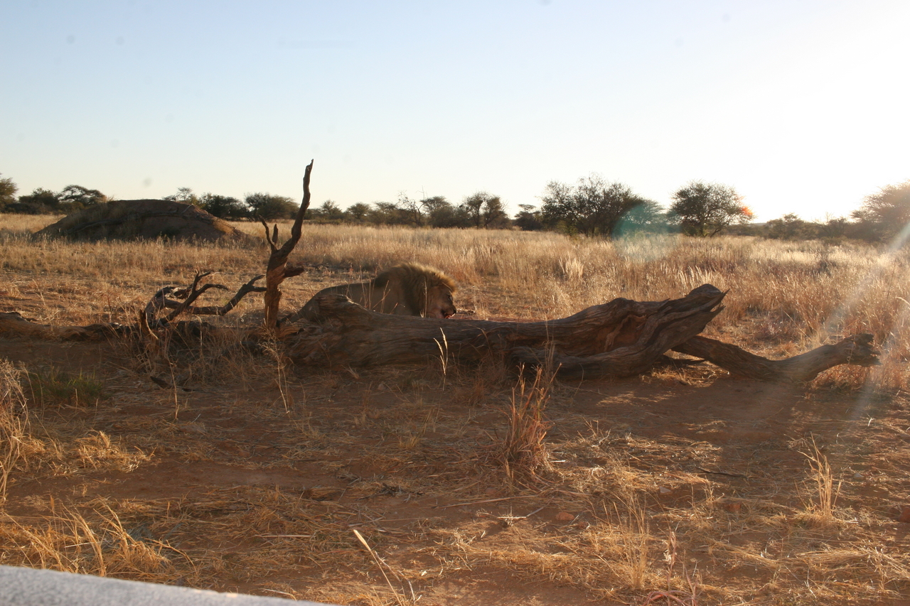 [8748] 2016_06_23_11_57_09_Africa_Canon_EOS_30D_IMG_1944_00209.jpg