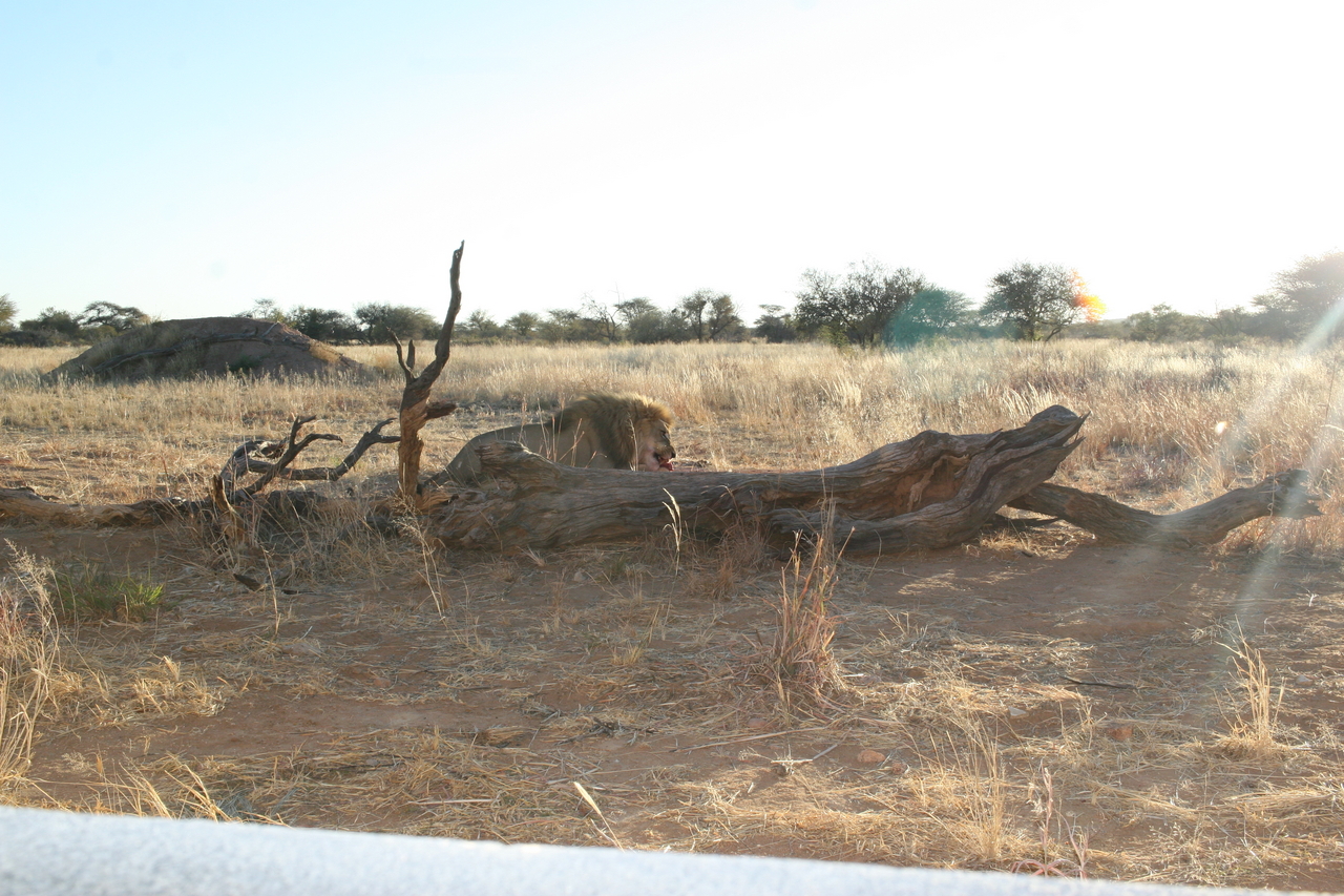 [8752] 2016_06_23_11_58_52_Africa_Canon_EOS_30D_IMG_1946_00211.jpg