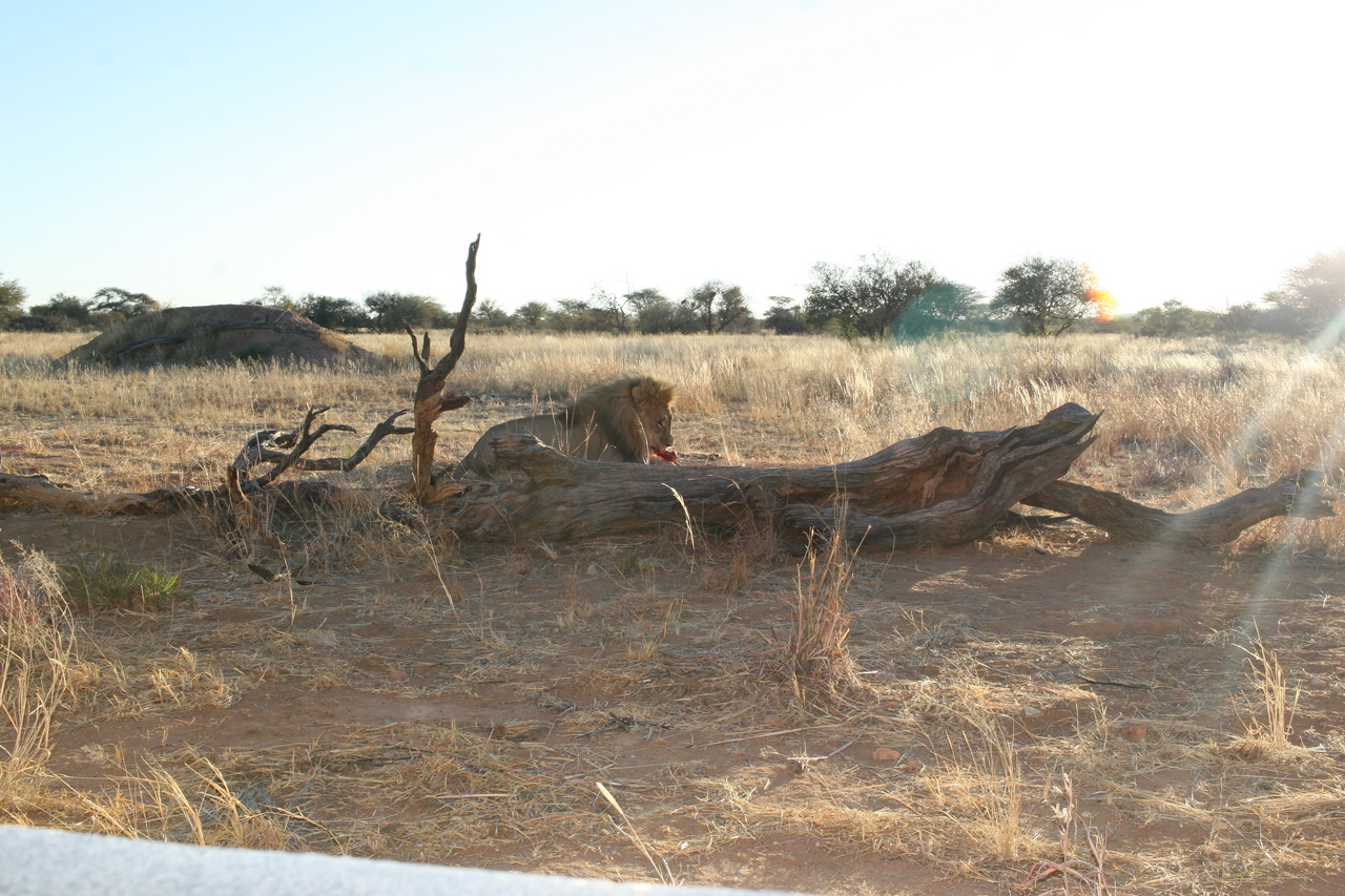 [8760] 2016_06_23_11_59_32_Africa_Canon_EOS_30D_IMG_1950_00215.jpg