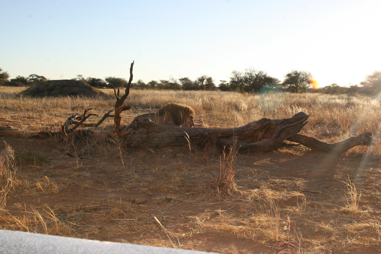 [8762] 2016_06_23_12_00_01_Africa_Canon_EOS_30D_IMG_1951_00216.jpg