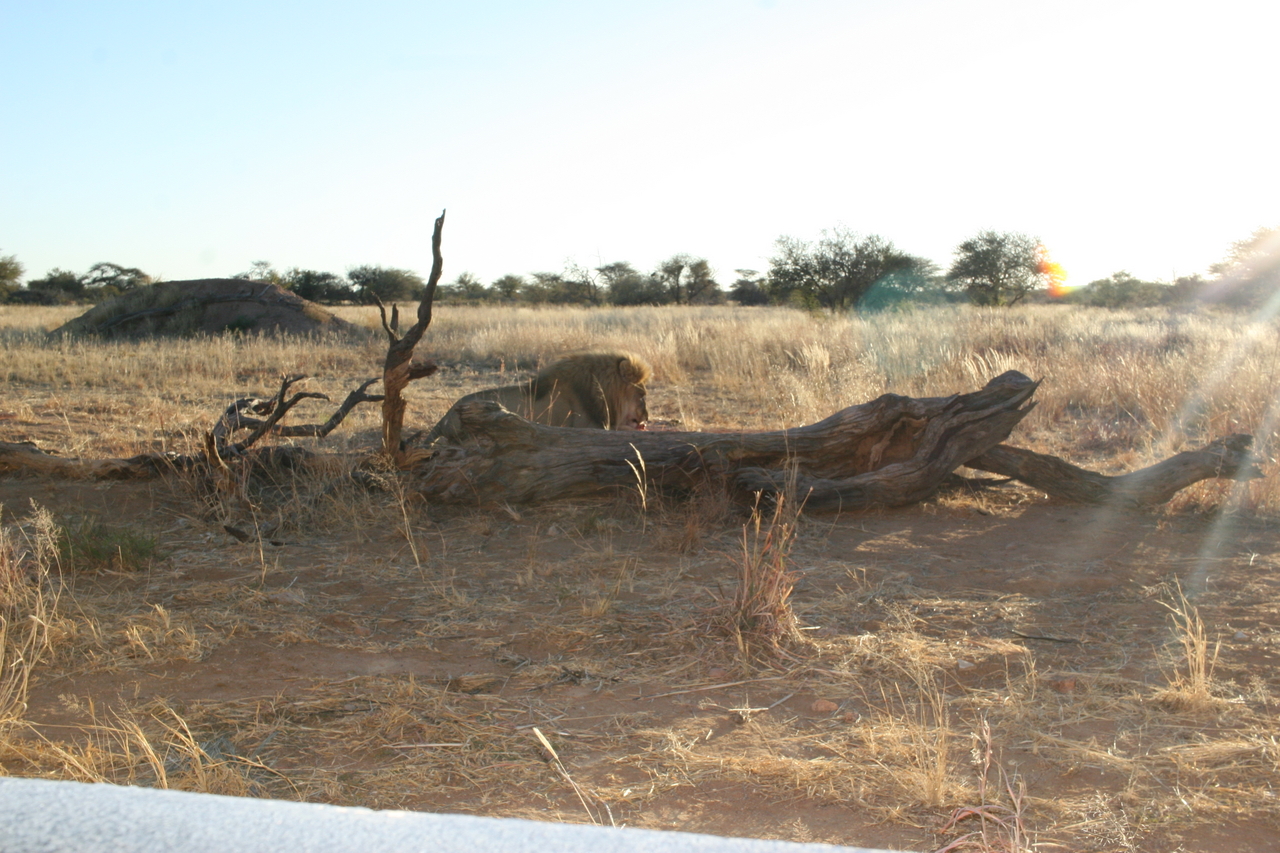 [8765] 2016_06_23_12_00_19_Africa_Canon_EOS_30D_IMG_1952_00396.jpg