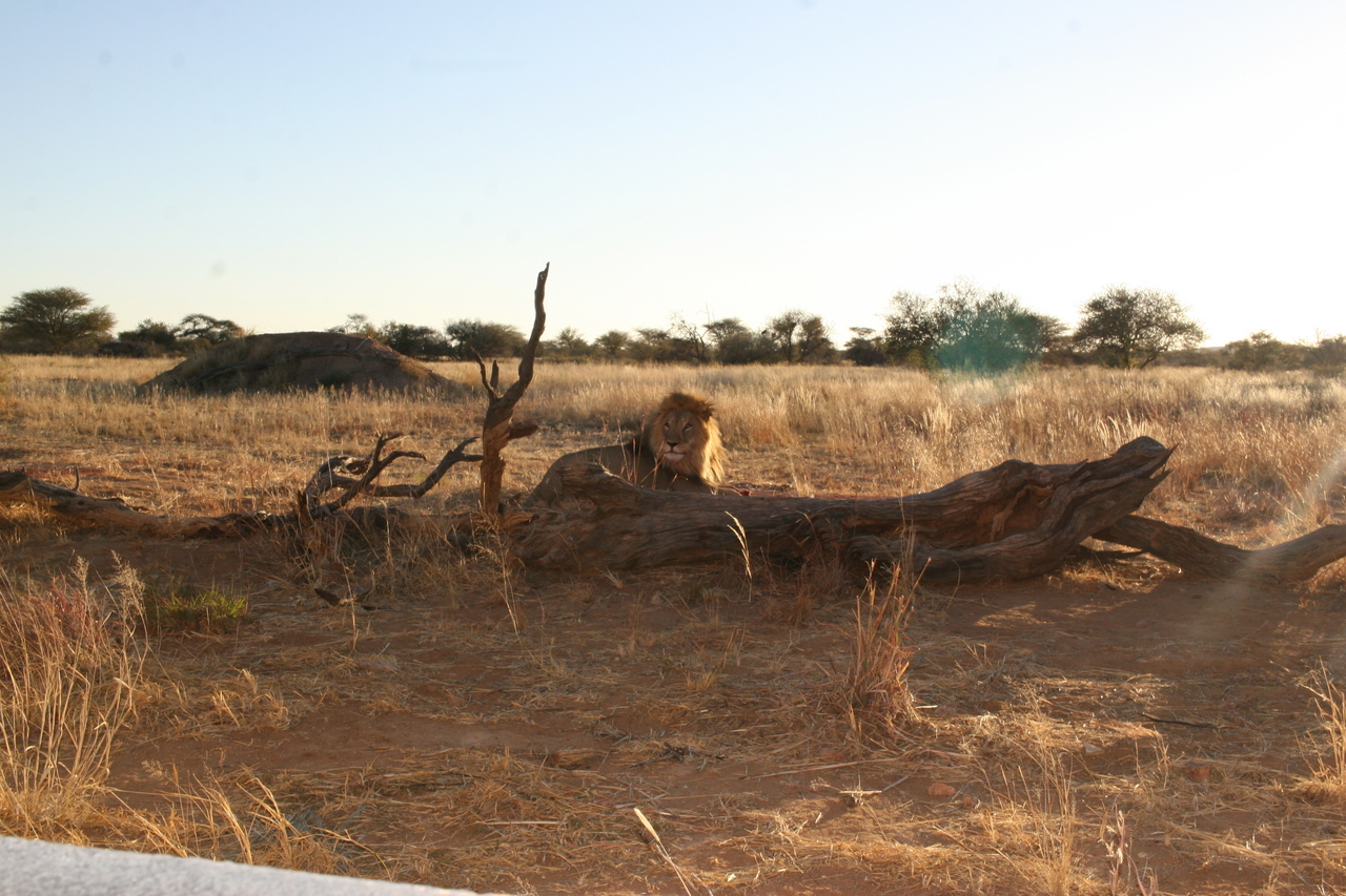 [8766] 2016_06_23_12_00_26_Africa_Canon_EOS_30D_IMG_1953_00218.jpg