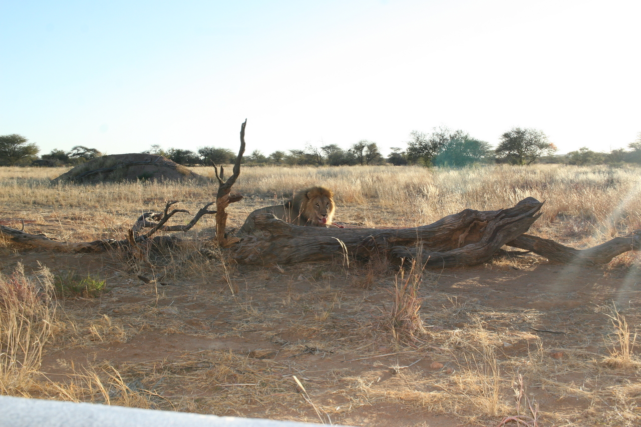 [8768] 2016_06_23_12_00_29_Africa_Canon_EOS_30D_IMG_1954_00219.jpg