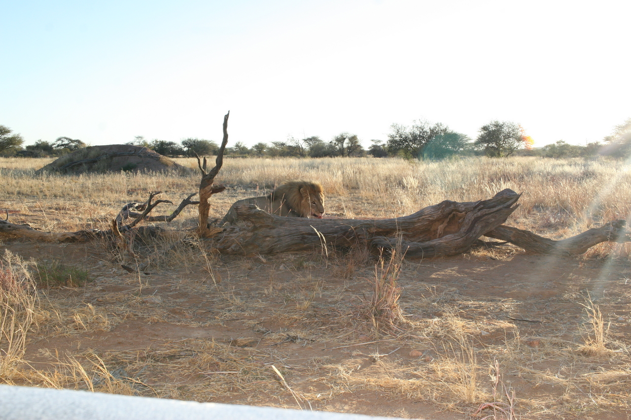 [8770] 2016_06_23_12_00_31_Africa_Canon_EOS_30D_IMG_1955_00220.jpg