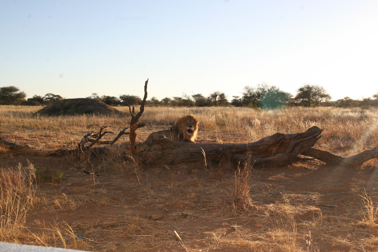 [8774] 2016_06_23_12_00_37_Africa_Canon_EOS_30D_IMG_1957_00222.jpg