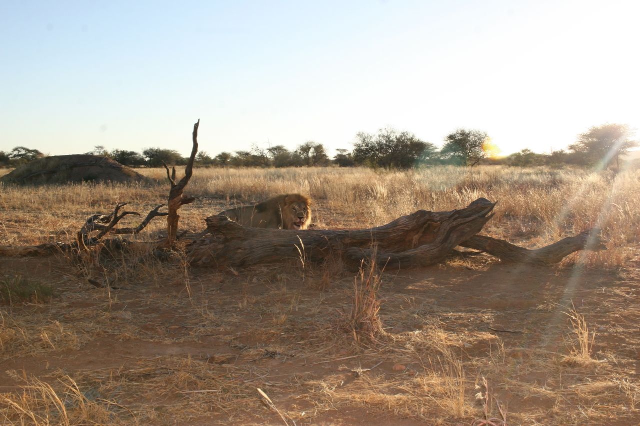 [8780] 2016_06_23_12_01_43_Africa_Canon_EOS_30D_IMG_1960_00225.jpg