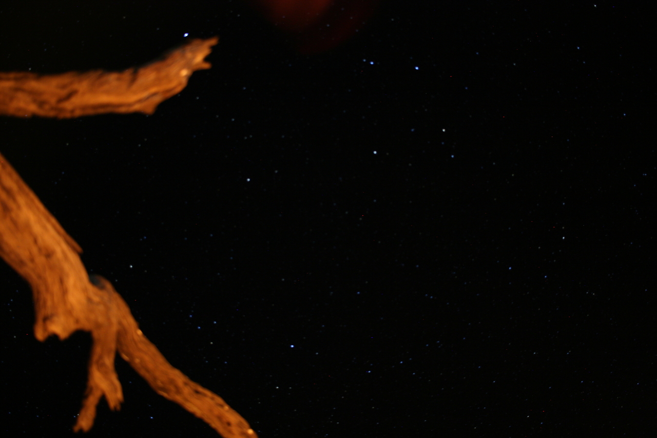 [8992] 2016_06_23_13_48_34_Africa_Canon_EOS_30D_IMG_1980_00245.jpg