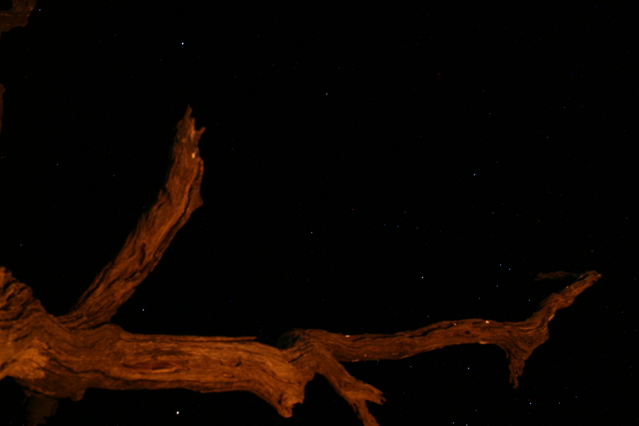 [8994] 2016_06_23_13_56_00_Africa_Canon_EOS_30D_IMG_1981_00246.jpg