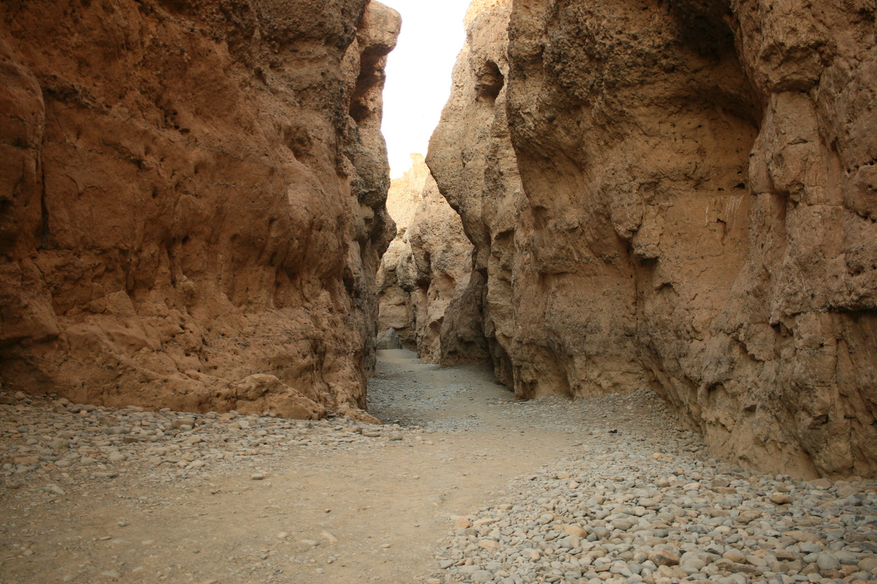 [14019] 2016_06_24_11_54_07_Africa_Canon_EOS_30D_IMG_1992_00257.jpg