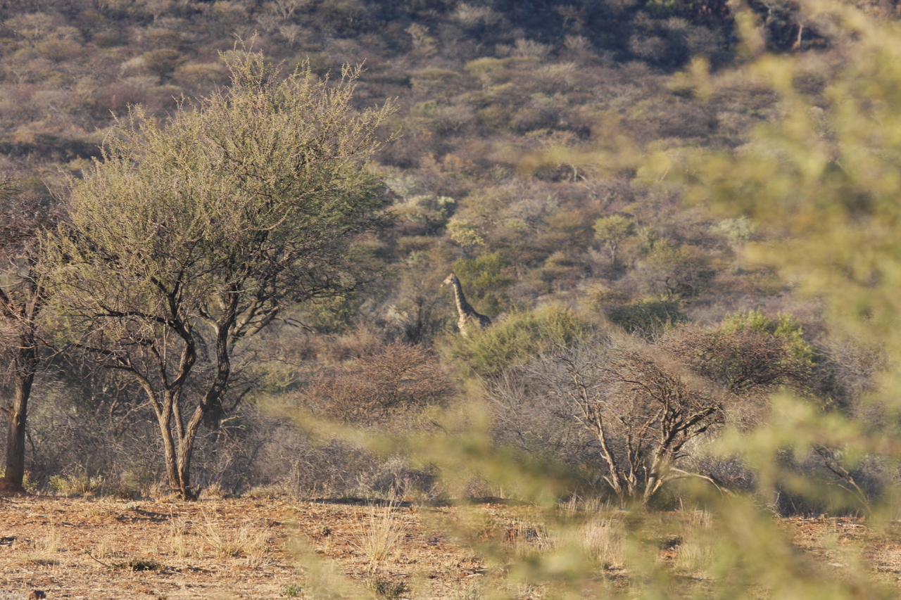 [511] 2016_06_22_02_09_04_Africa_Canon_EOS_40D_IMG__00001.jpg